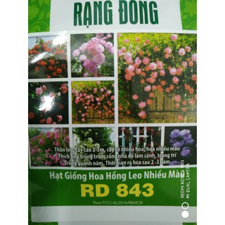 Hạt giống Hoa Hồng leo nhiều màu 10 hạt❤️FREESHIP XTRA❤️