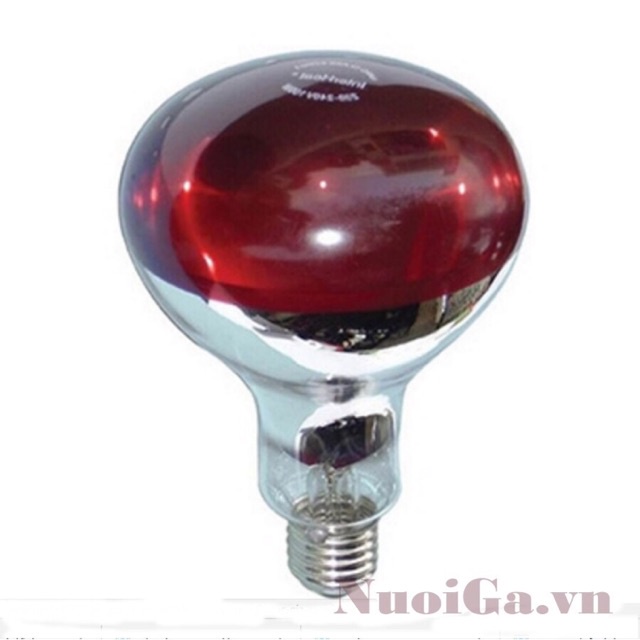 Bóng Úm Gà Hồng Ngoại 45W 75W 100W 150W 175W 200W 250W Sưởi Gia Cầm, Sưởi Heo