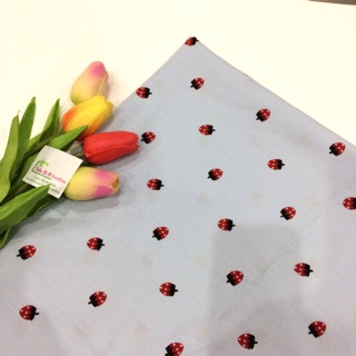 VẢI ĐŨI CAO CẤP 🍓V169