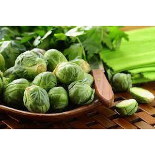 Hạt Giống Cải Bắp Mini Xanh