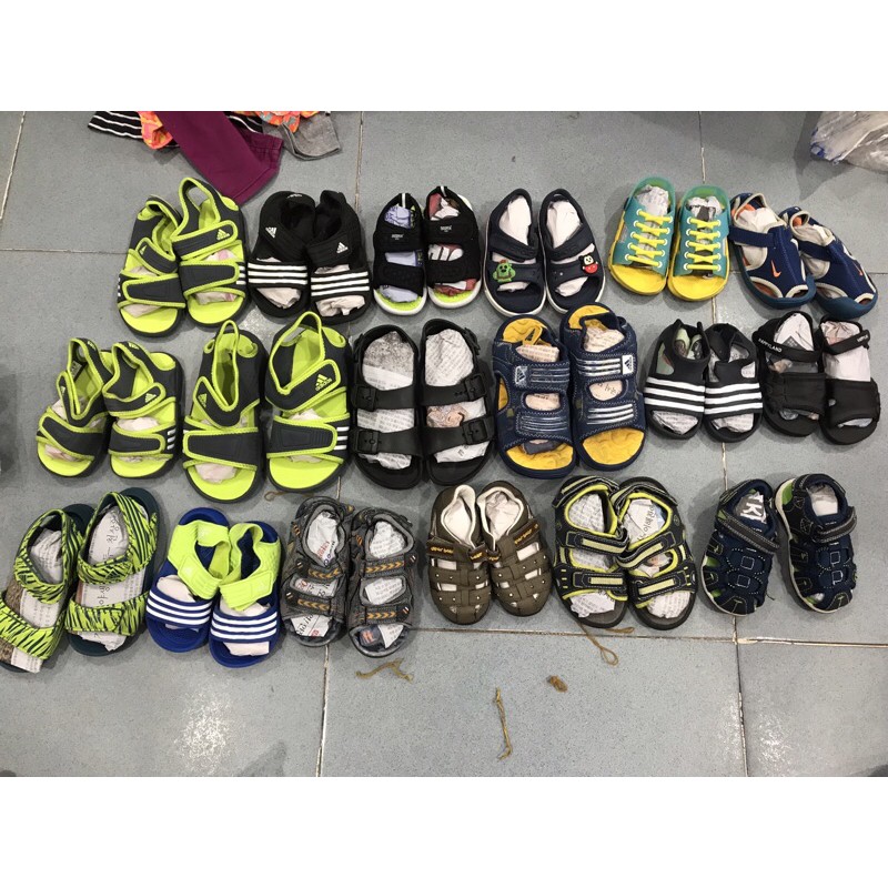 Già sandan si tuyển