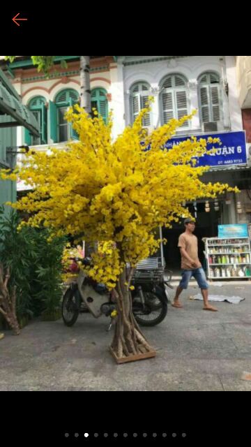 Cành hoa anh đào giả trang trí cành cao 100cm - HOA VẢI,HOA LỤA