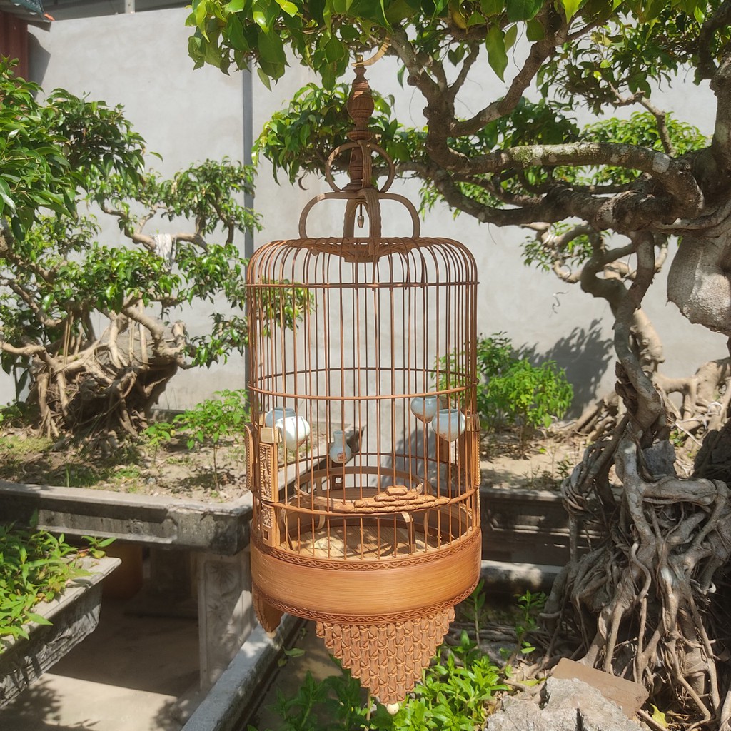 Lồng Chim Khuyên Đục Chân Cao HÀNG KỸ Lồng Khuyên Trúc Già Siêu Đẹp Đường Kính 22 cm