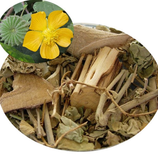 Cây cối xay sao khô 