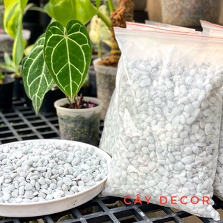 Đá Perlite hạt to 8-12mm size lớn, túi 1kg tiện ích