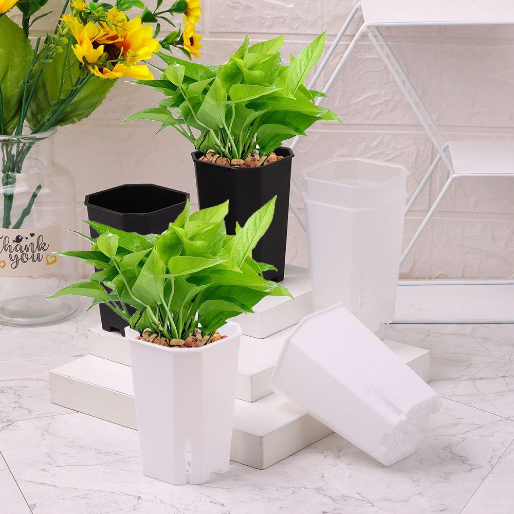 Chậu Trồng Cây Hình Vuông Thiết Kế Mở Tiện Lợi