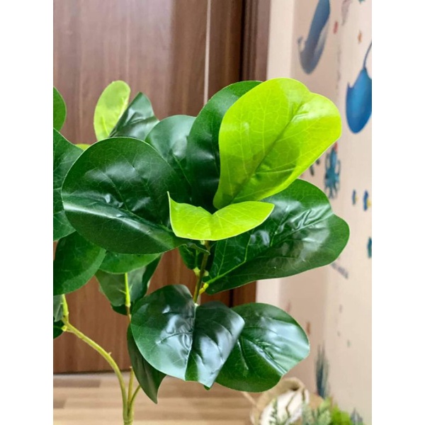 🥰 Cây bàng Singapore giả cao 65cm, 3 nhánh decor siêu siêu xinh giống thật 99%