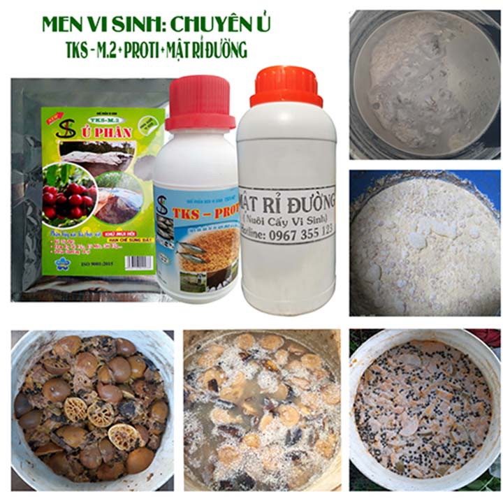 Men Vi Sinh Ủ Phân Cá, Phân Đậu Tương, Bánh Dầu