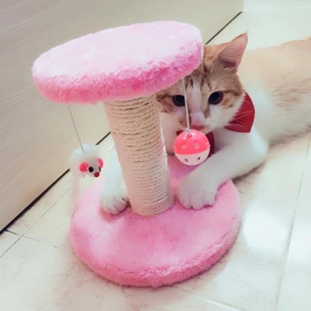 Trụ cào móng cho mèo 🐈 (Chất liệu lông đẹp, bóng chuông vui nhộn, dây thừng mèo cào thích mê)- Mèo cào vui ko lo cào đồ