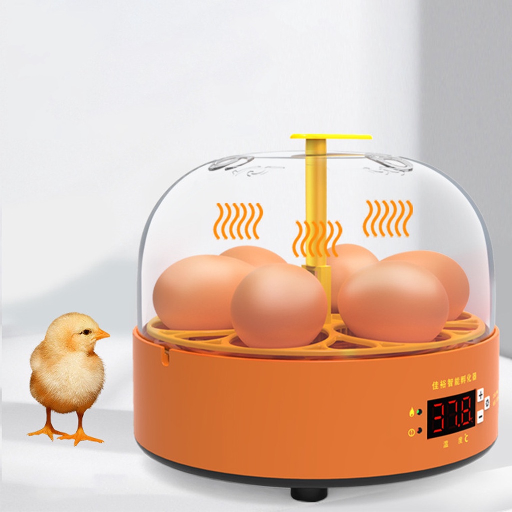 Máy ấp trứng mini tự động dành cho trẻ em