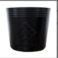 LY NHỰA LỢI DÂN TRỒNG CÂY GIÁ TỪ 1000Đ