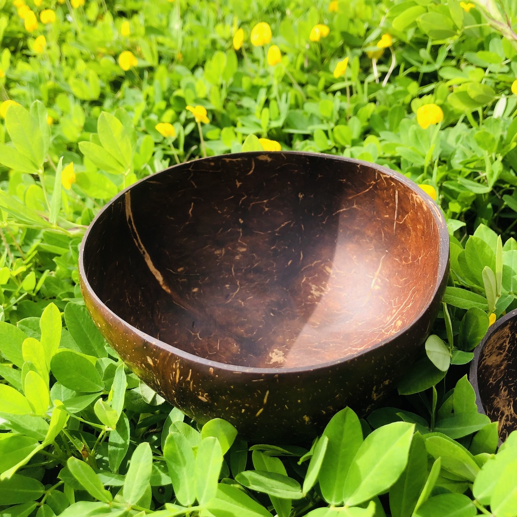 Bát Chén gáo Dừa cao cấp, không hoá chất, thân thiện môi trường, bát ăn healthy giảm cân, bát dùng pha bột làm đẹp,