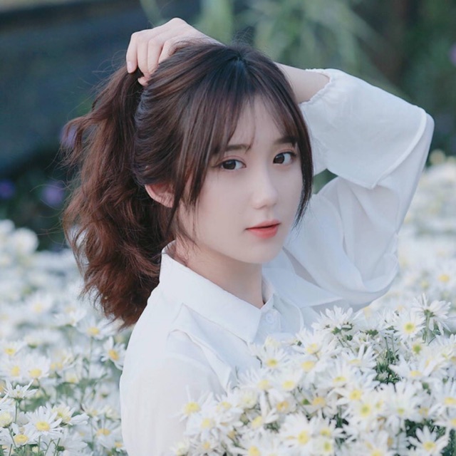 thuy20152016