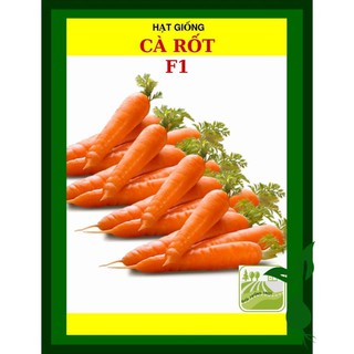 Hạt giống cà rốt baby, thịt củ chắc 20 gram