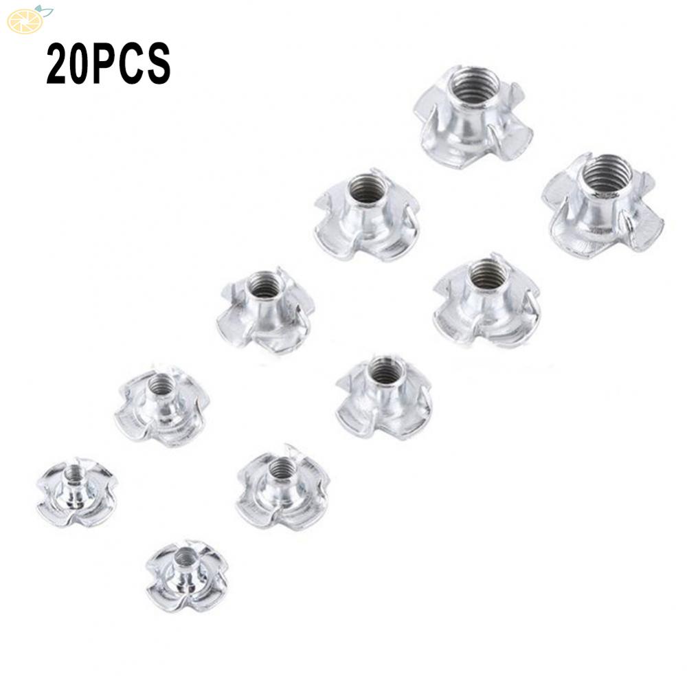 Đai Ốc Bịt Kín Khe Hở Đồ Nội Thất Gỗ M3/M5/M6/ M8/ M10