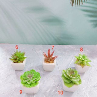 Sen đá giả mini