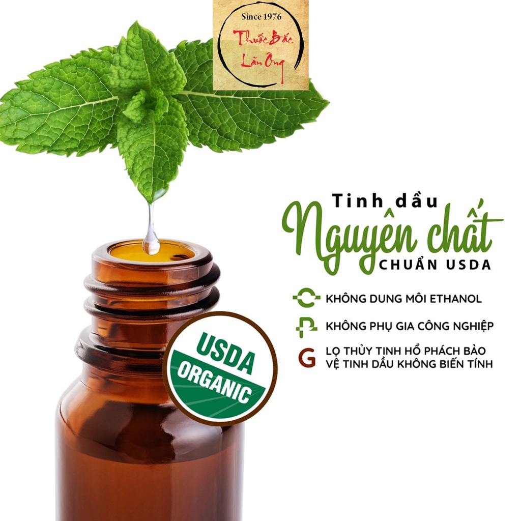 Tinh dầu Bưởi nguyên chất 20ml, dưỡng tóc, kích thích mọc tóc, khử mùi, diệt khuẩn - Thuốc Bắc Lãn Ông