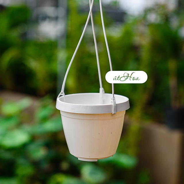 (Có dây treo) Chậu treo mini trơn tròn nhiều màu trồng hoa kiểng, sen đá dễ thương