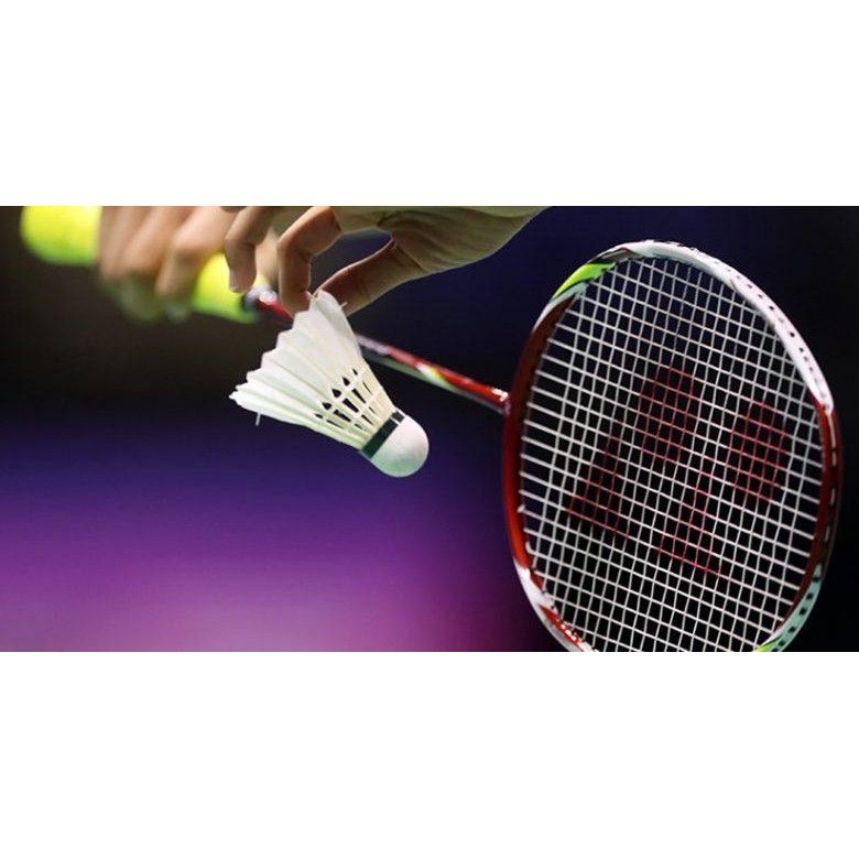 Ống Cầu Lông Hải Yến Cao Cấp 12 quả (Xanh Biển) Hàng Việt Nam Chất Lượng Cao, Được Sử Dụng Trong Luyện Tập Và Thi Đấu