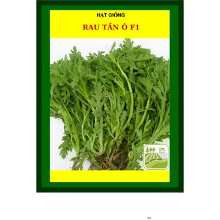 20G - Hạt Giống Rau Tần Ô (Cải Cúc)