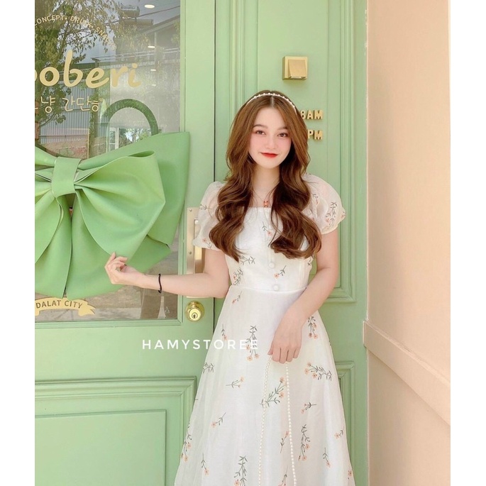 ĐẦM HOA NHÍ ĐÍNH NÚT