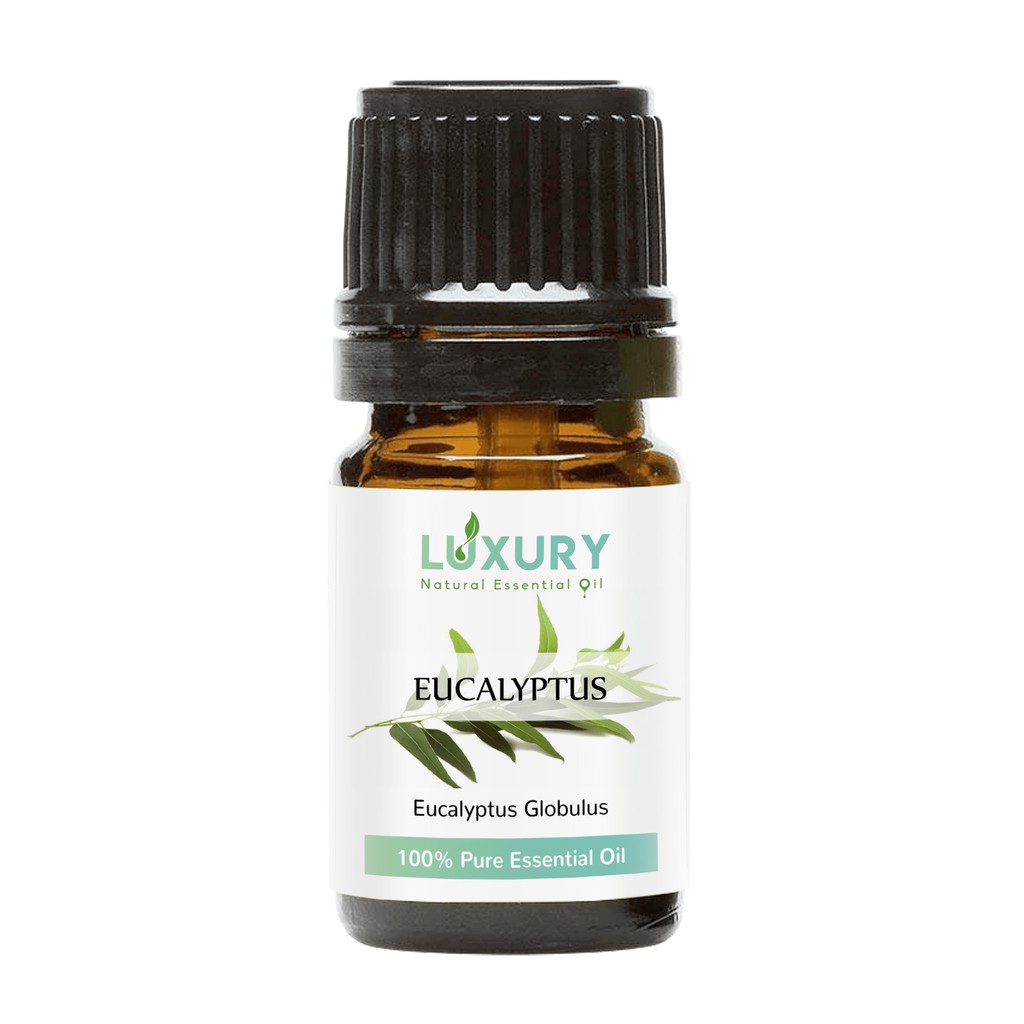 Tinh Dầu Khuynh Diệp ☘️ Luxury Oil ☘️ - Eucalyptus Essential Oil | Cao Cấp Nhập Khẩu | 100% Thiên Nhiên Nguyên Chất