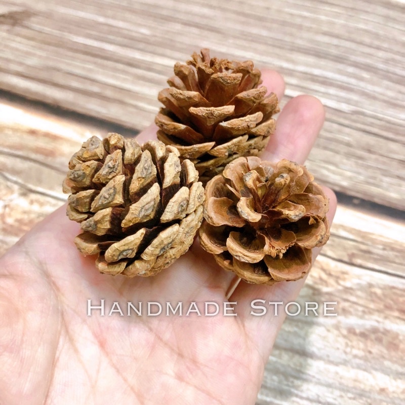 Quả thông Giáng sinh