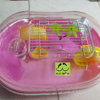 Lồng Hamster Hawaii