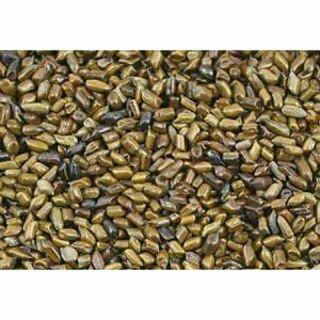 1kg hạt muồng muồng