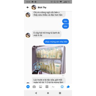 Cao chè vằng sẻ Quảng Trị Nhà Cừu