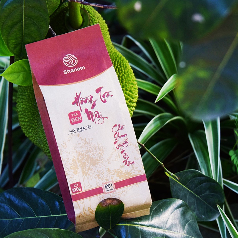 Hồng Trà Mây Tà Xùa - Trà Shan Tuyết cổ thụ hơn 100 năm tuổi
