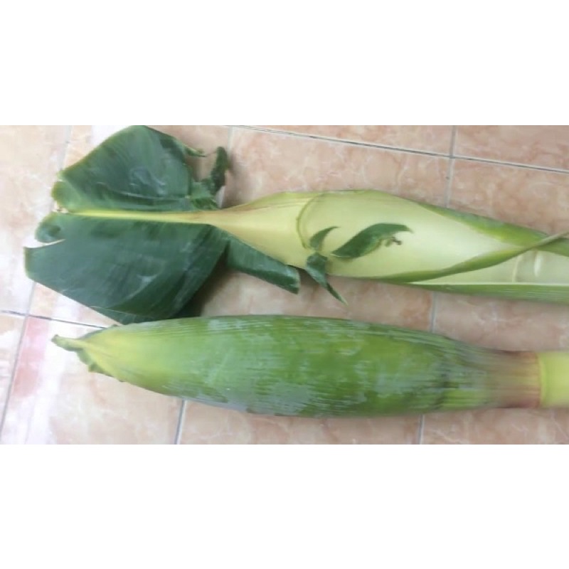 Bắp chuối hột ( dặn trước 1 ngày để cắt )