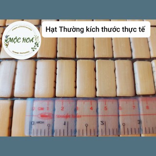 CHIẾU TRE HỮU CƠ ĐAN THỦ CÔNG Nhiều Kích Cỡ