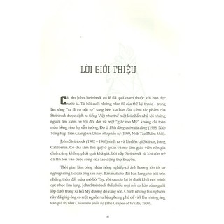 Sách - Chùm Nho Phẫn Nộ
