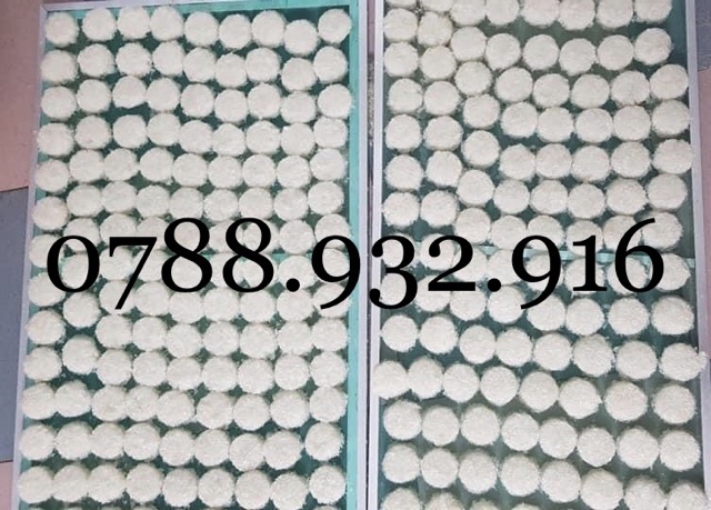 Tổ yến sào Khánh Hoà👍👍[GIÁ HỦY DIỆT]👌👌Tổ yến vụn sơ mướp viên nguyên chất 100% | BigBuy360 - bigbuy360.vn