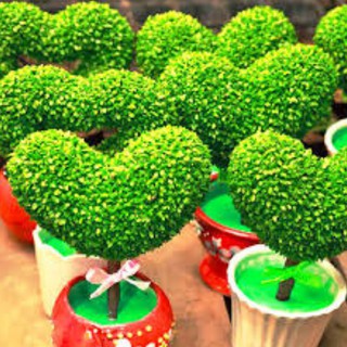 Hạt Giống Cỏ May Mắn