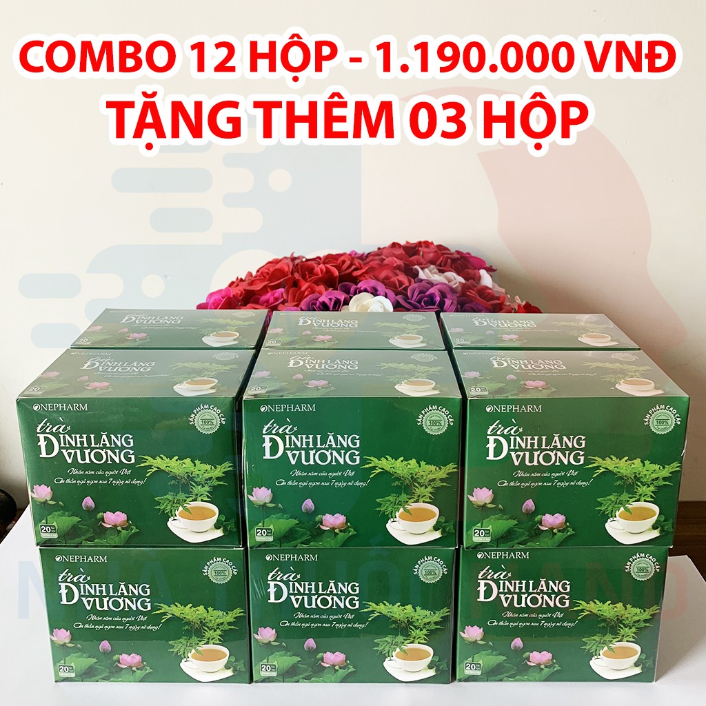 Combo 12 Trà túi lọc Đinh Lăng Vương từ Đinh Lăng, Chè Vằng, Lạc Tiên, Lá Sen, Tâm Sen giúp hỗ trợ giấc ngủ