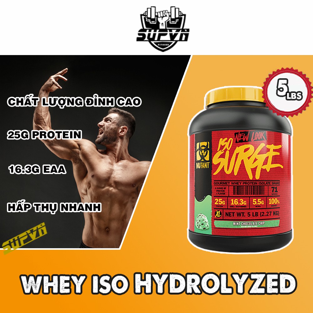Iso Surge 5lbs - Sữa tăng cơ Whey Protein Iso Surge