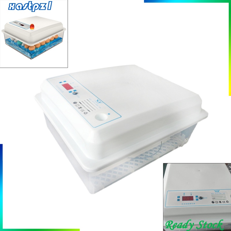 Máy Ấp Trứng Kỹ Thuật Số Tự Động Xastpz1