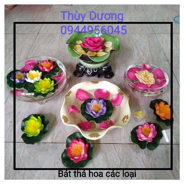 Hoa sen thả bể nước