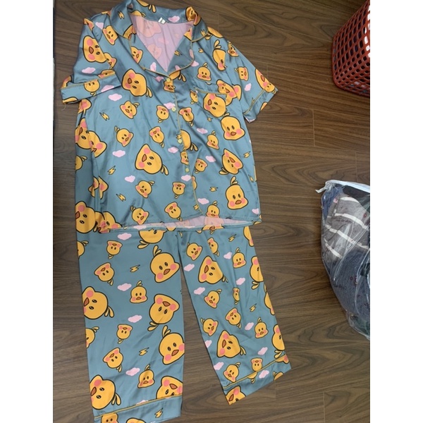 Pijama thanh lý mặc vài lần còn mới