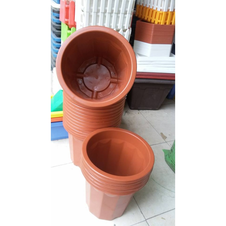 Combo 20 chậu ươm cây E280