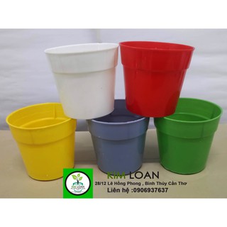 Combo 10 chậu nhựa tròn mini 8x7cm