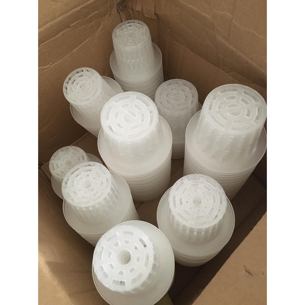 GIỎ NHỰA CHUYÊN DỤNG TRỒNG CÂY THỦY SINH