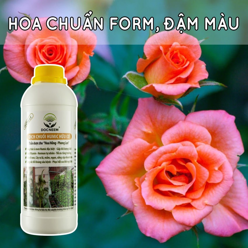 Phân bón dịch chuối DOCNEEM (chai 1 lít), bón lá, gốc, cho hoa lan, hoa hồng, cây cảnh, cây kiểng, trầu bà, monstera