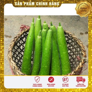 Hạt Giống Bầu Sao Trái Dài(10 hạt)