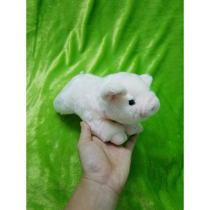 Gấu bông con heo chính hãng Miyoni Aurora  như thật