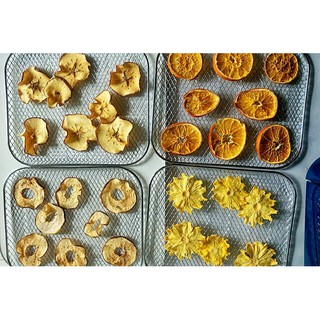 Combo 60 gói detox hoa quả sấy