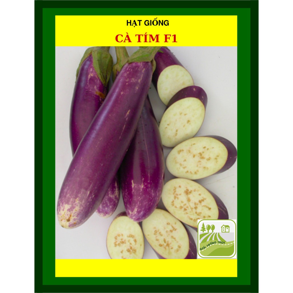 Gói 1gram Hạt Giống Cà Tím
