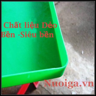 KHAY HỨNG PHÂN CHIM BỒ CÂU BỘ 5 KHAY